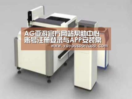产品名称十五