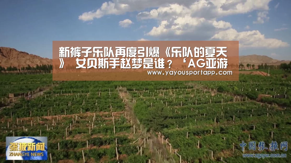 新裤子乐队再度引爆《乐队的夏天》 女贝斯手赵梦是谁?‘AG亚游帮助中心’(图3) AG亚游帮助中心