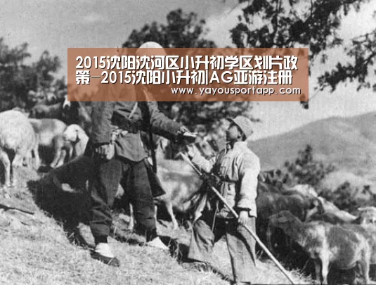 2015沈阳沈河区小升初学区划片政策-2015沈阳小升初|AG亚游注册登录(图3) AG亚游