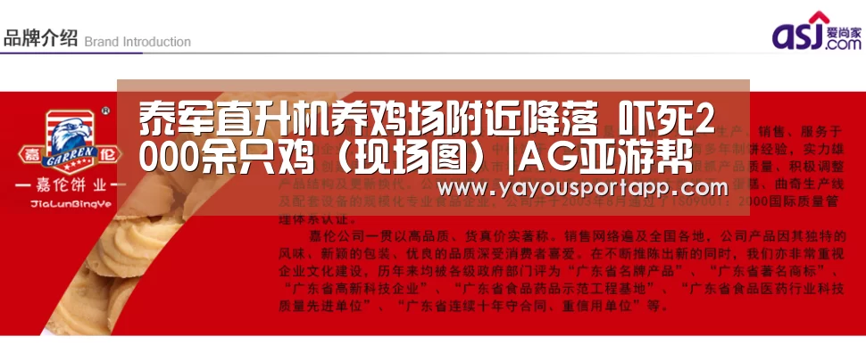泰军直升机养鸡场附近降落 吓死2000余只鸡(现场图)|AG亚游帮助中心(图4) AG亚游帮助中心