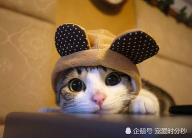 AG亚游|哈尔滨:疫情防控知识纳入线上教学第一课(图4) AG亚游帮助中心