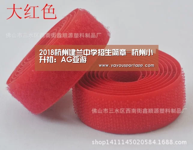 2018杭州建兰中学招生简章-杭州小升初:AG亚游(图4) AG亚游常见问题