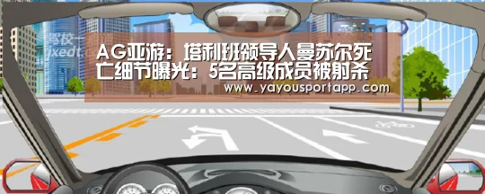AG亚游注册登录