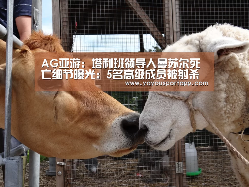 AG亚游注册登录